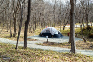 ファクトランド（那須）｜FACTLAND