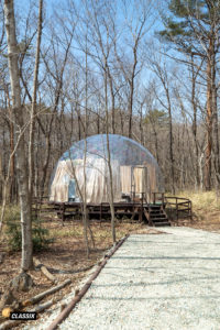 ファクトランド（那須）｜FACTLAND