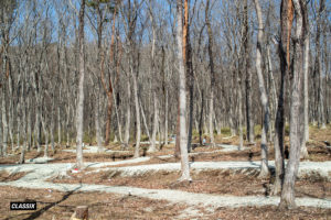 ファクトランド（那須）｜FACTLAND