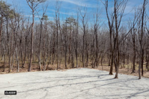 ファクトランド（那須）｜FACTLAND