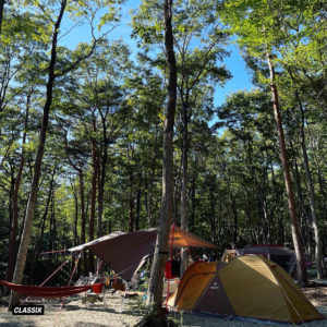 ファクトランド（那須）｜FACTLAND