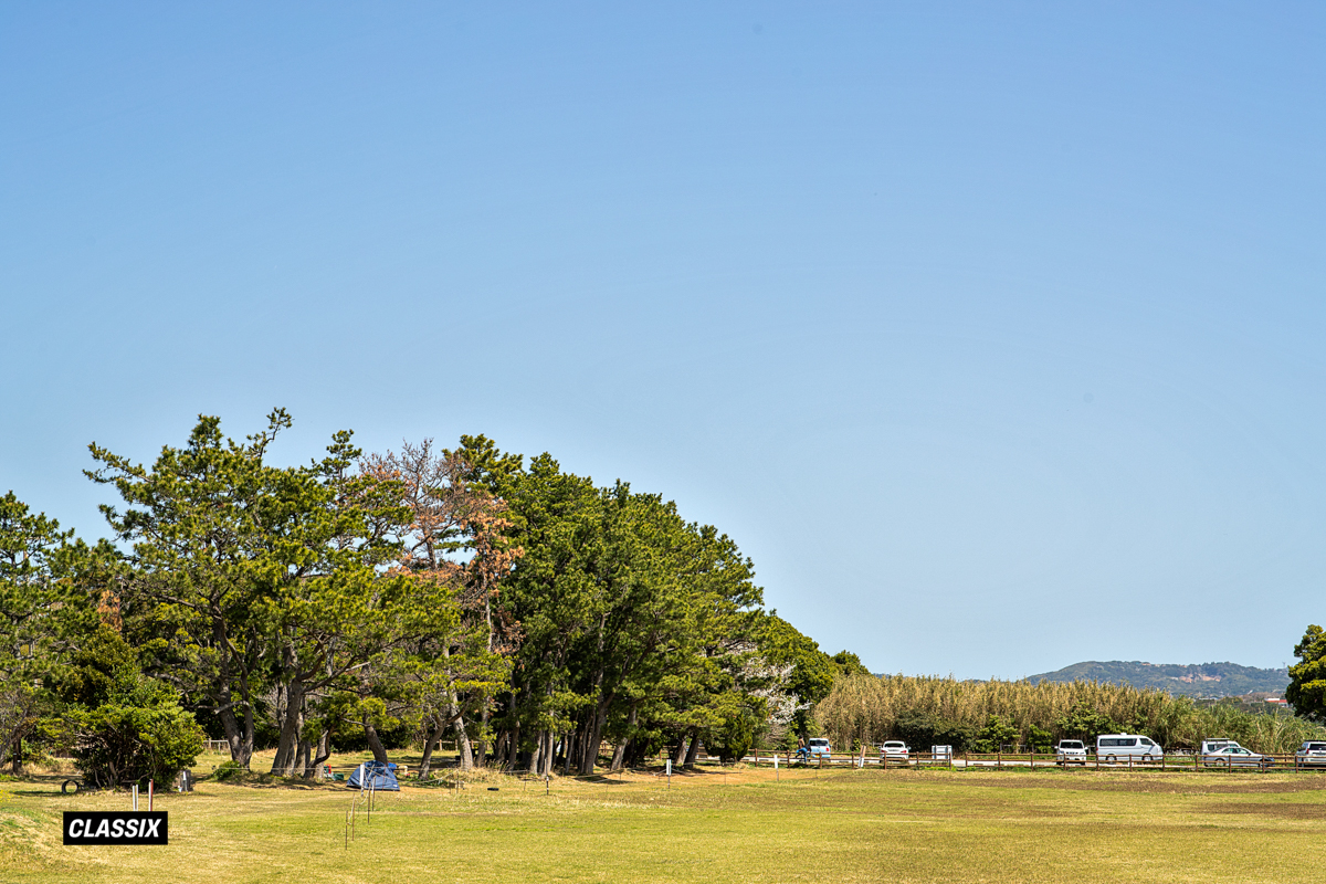 潮岬望楼の芝キャンプ場（和歌山県）